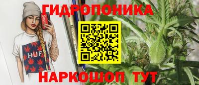 сатива Краснознаменск