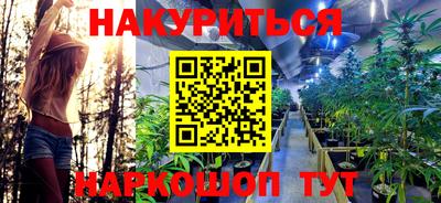 сатива Краснознаменск