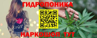 сатива Краснознаменск