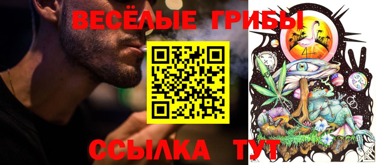 Псилоцибиновые грибы Magic Shrooms  Псилоцибиновые грибы Cubensis  Вход с VPN  Йошкар-Ола 