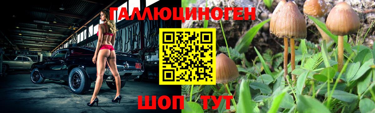 Псилоцибиновые грибы Cubensis Йошкар-Ола